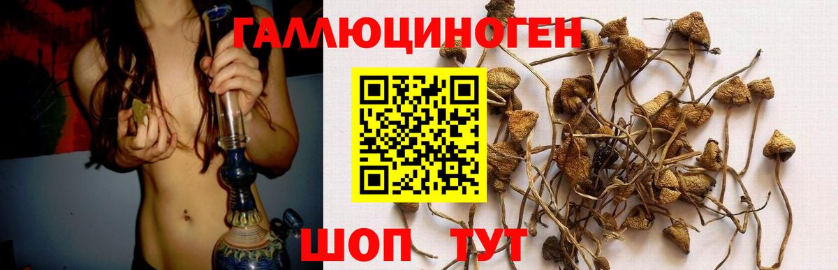 Пыть-Ях  Псилоцибиновые грибы GOLDEN TEACHER  Псилоцибиновые грибы Psilocybe  наркотики  Вход с VPN 